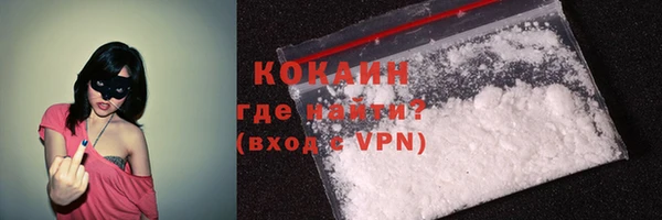 гашик Надым