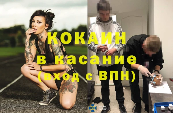 ПСИЛОЦИБИНОВЫЕ ГРИБЫ Наволоки