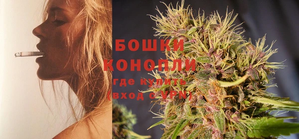 крисы Михайловск