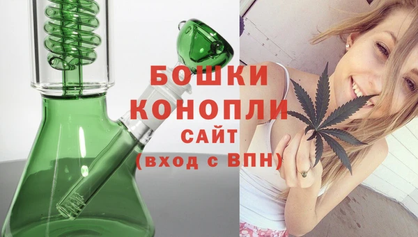 гашик Надым