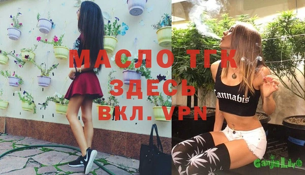 гашик Надым