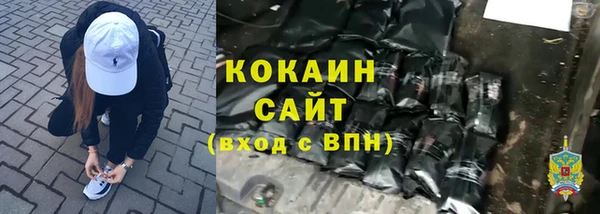 тгк Михайлов