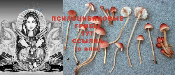 ПСИЛОЦИБИНОВЫЕ ГРИБЫ Наволоки